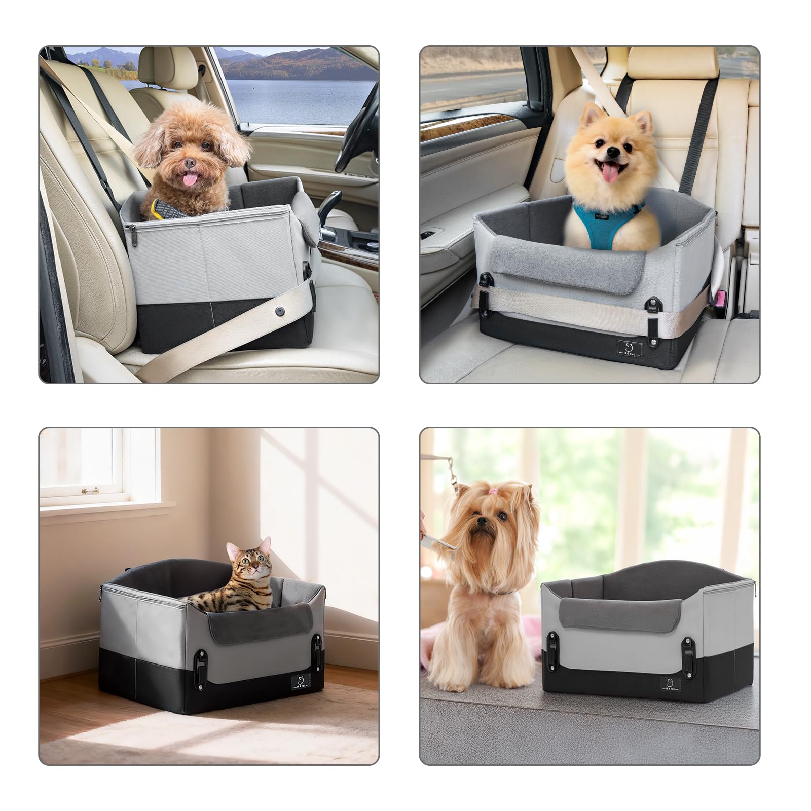 A4Pet adjustable-leash-clip image demonstrates secure restraint during rides.