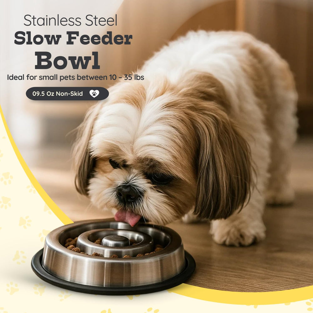 AASPIRE PETS 9.5 oz capacity bowl ideal for 10–35 lb pets.