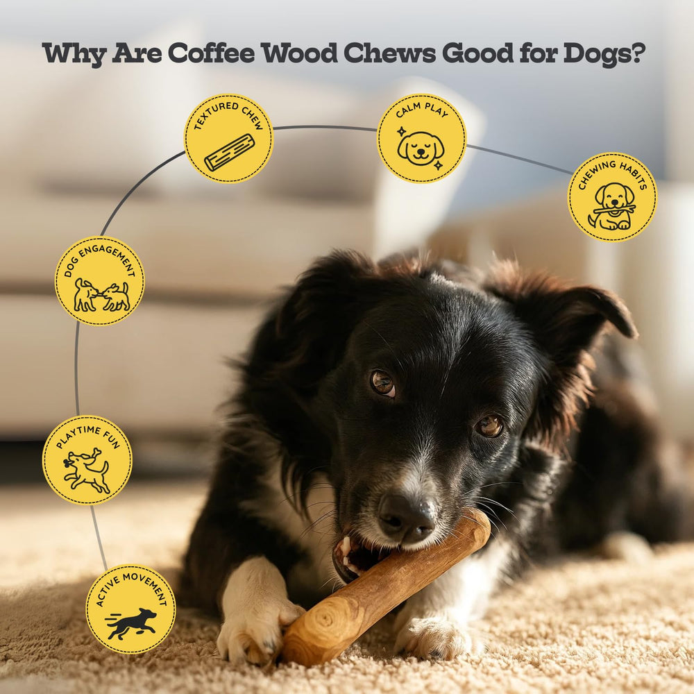 AASPIRE PETS coffee wood chew stick medium-dog size, supports focused chewing sessions.