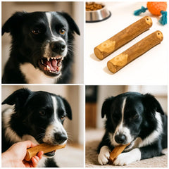 AASPIRE PETS two-pack coffee wood chews, great for rotating treats and preventing boredom.