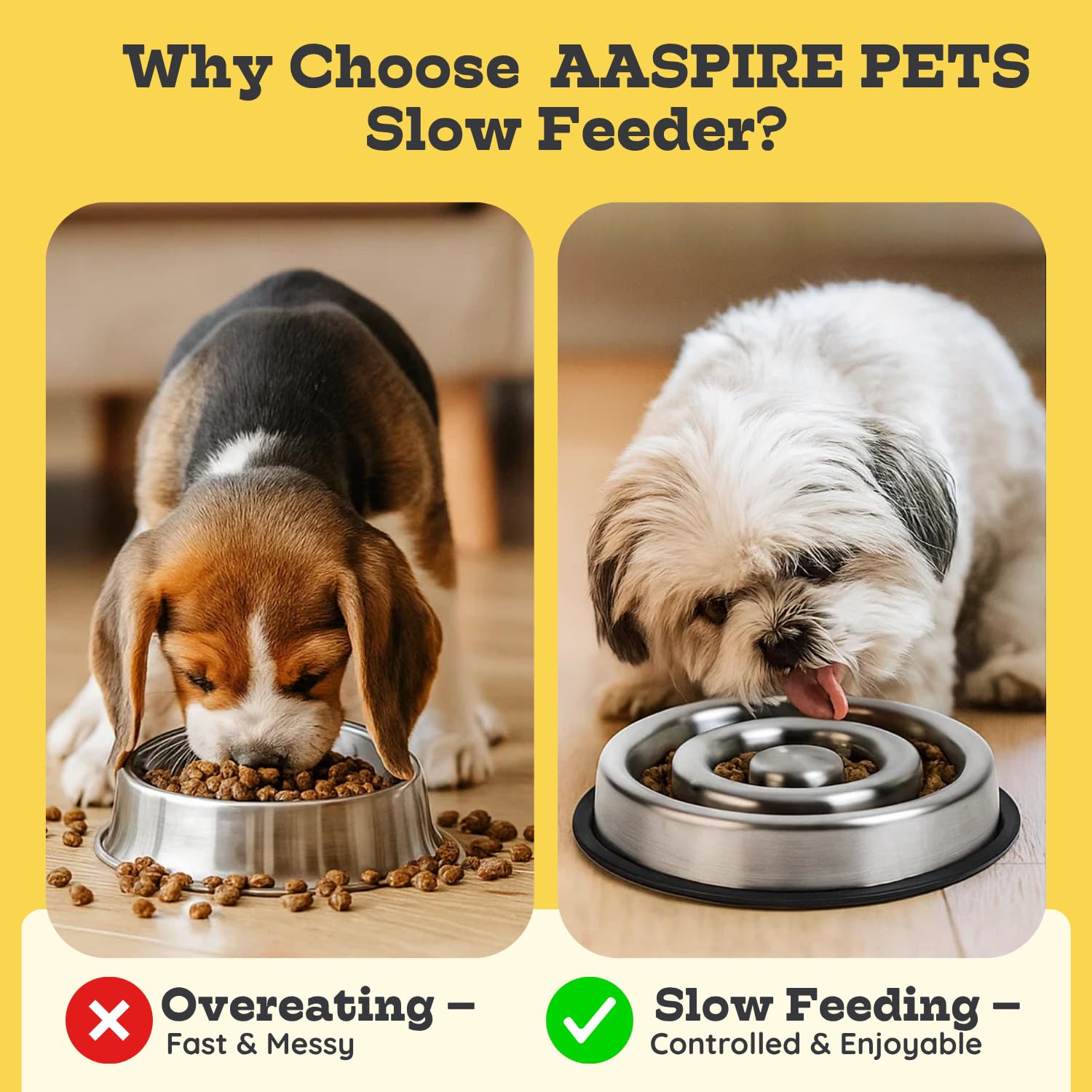 AASPIRE PETS compact daily-use bowl supports busy households.