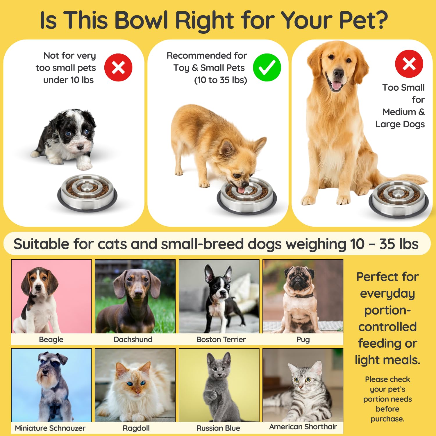 AASPIRE PETS sized for 10–35 lb pets helps choose the right bowl.