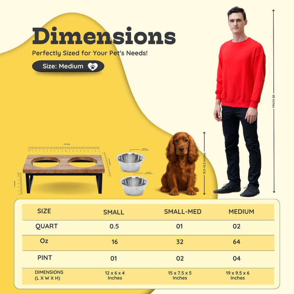 AASPIRE PETS tidy-mealtime setup helps keep feeding area organized.