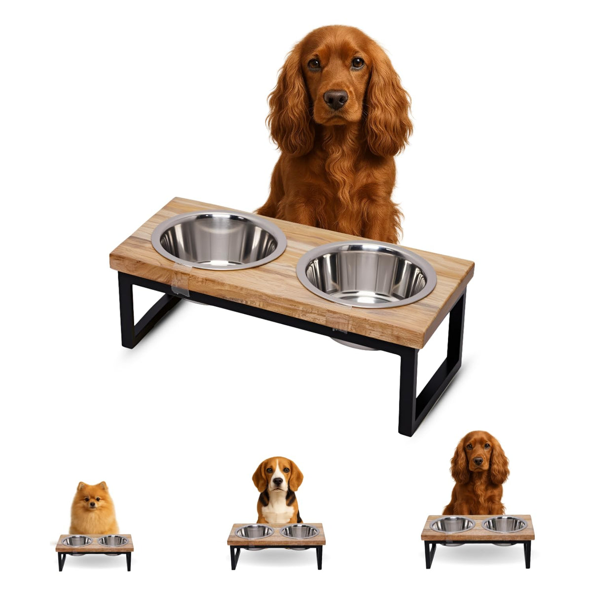 AASPIRE PETS elevated dog bowls on a mango wood stand improve feeding posture.