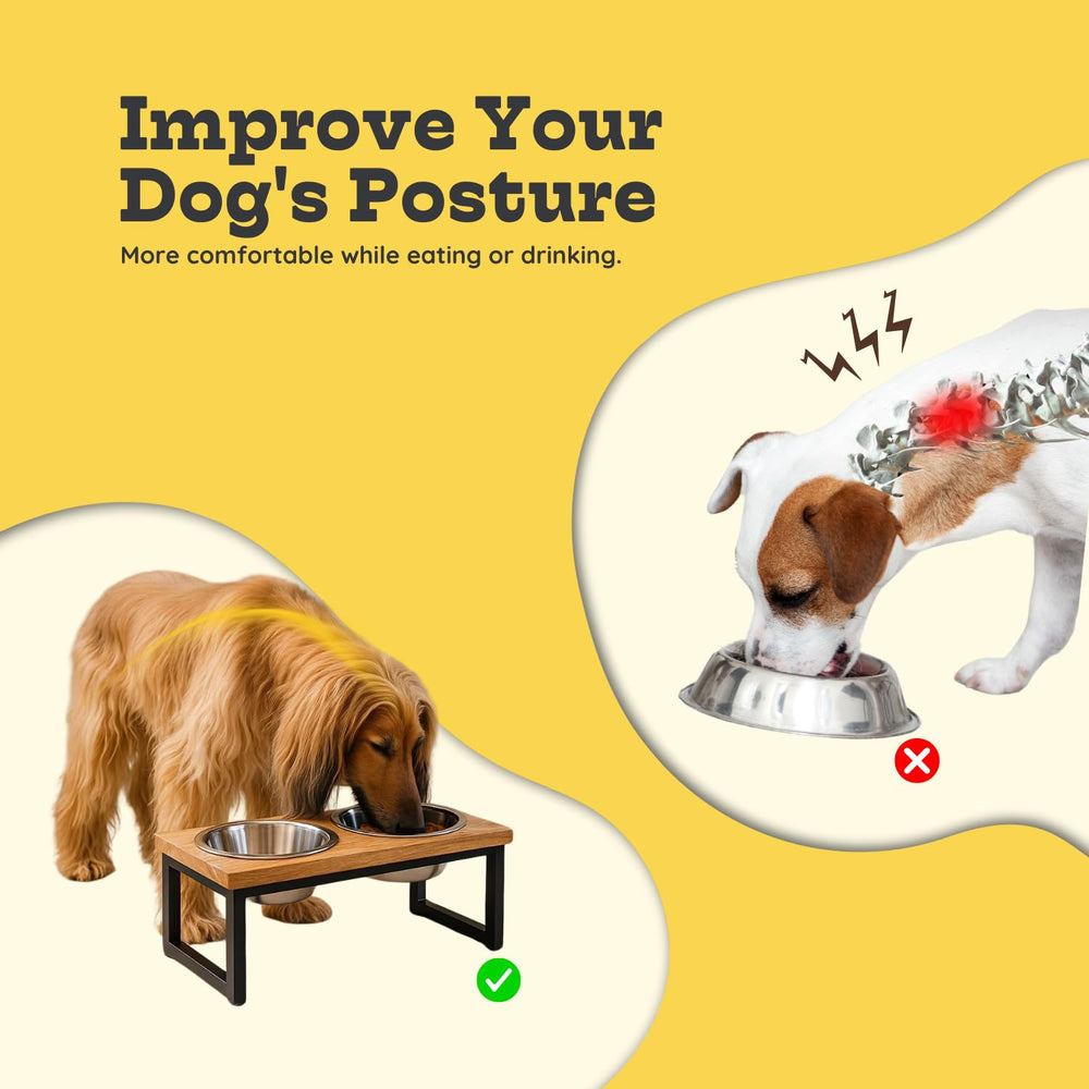 AASPIRE PETS mango wood base adds durable, stylish dining setup.
