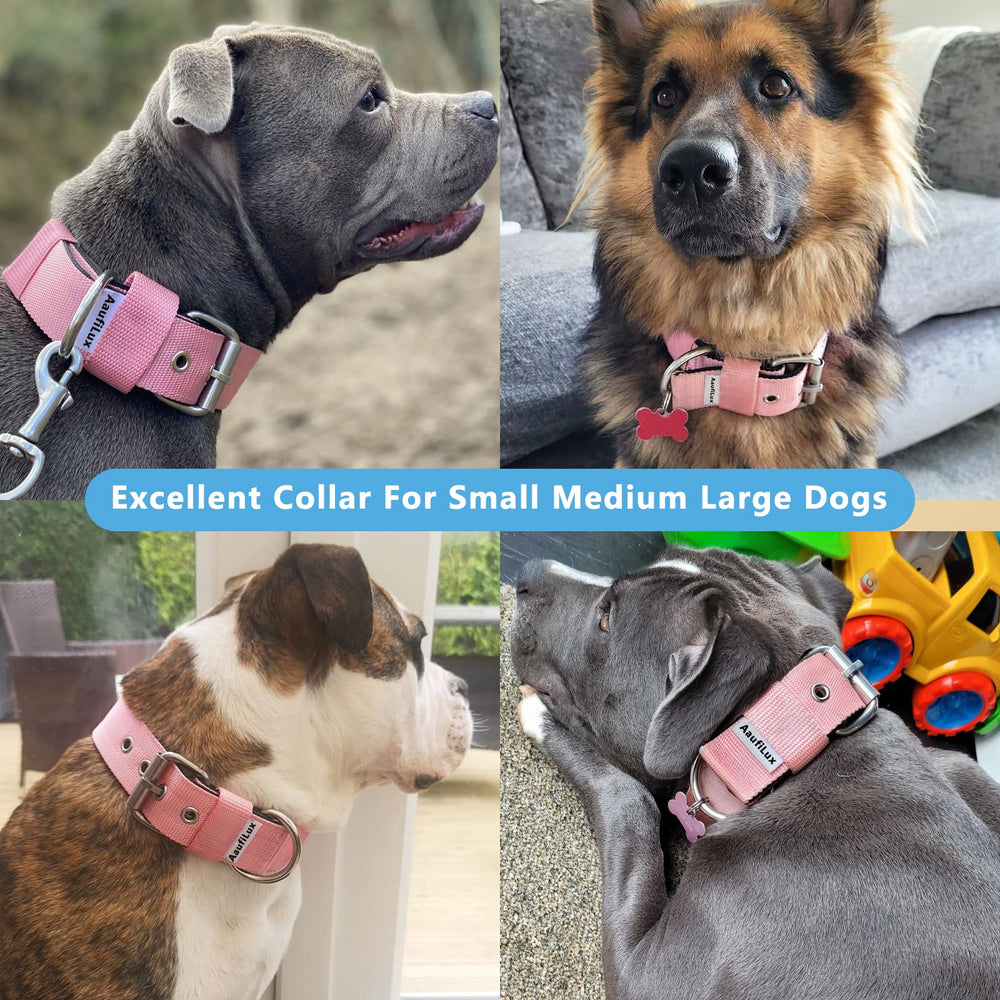 AaufiLux collar adjustable buckle graphic highlights four-point adjustable fit.