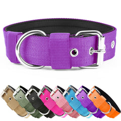 AaufiLux heavy-duty tactical dog collar buckle shown for secure training and daily walks.