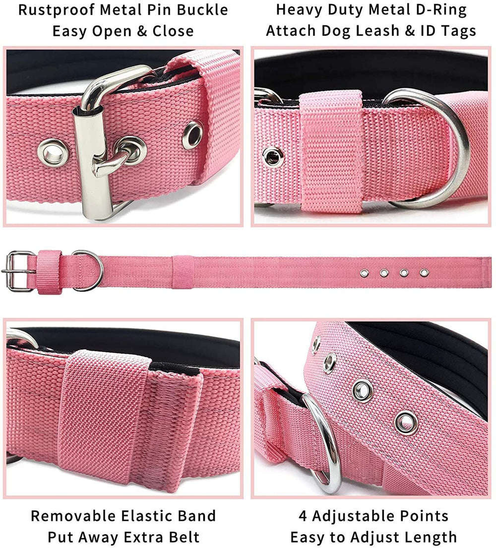 AaufiLux heavy duty collar with D-ring leash attachment for easy control.