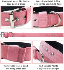 AaufiLux heavy duty collar with D-ring leash attachment for easy control.
