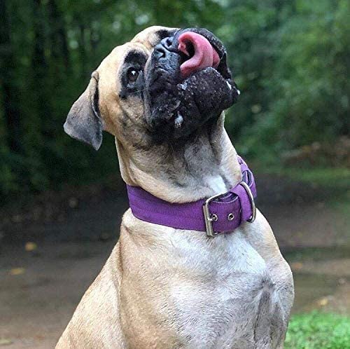AaufiLux heavy-duty tactical dog collar rustproof hardware for long-lasting use.