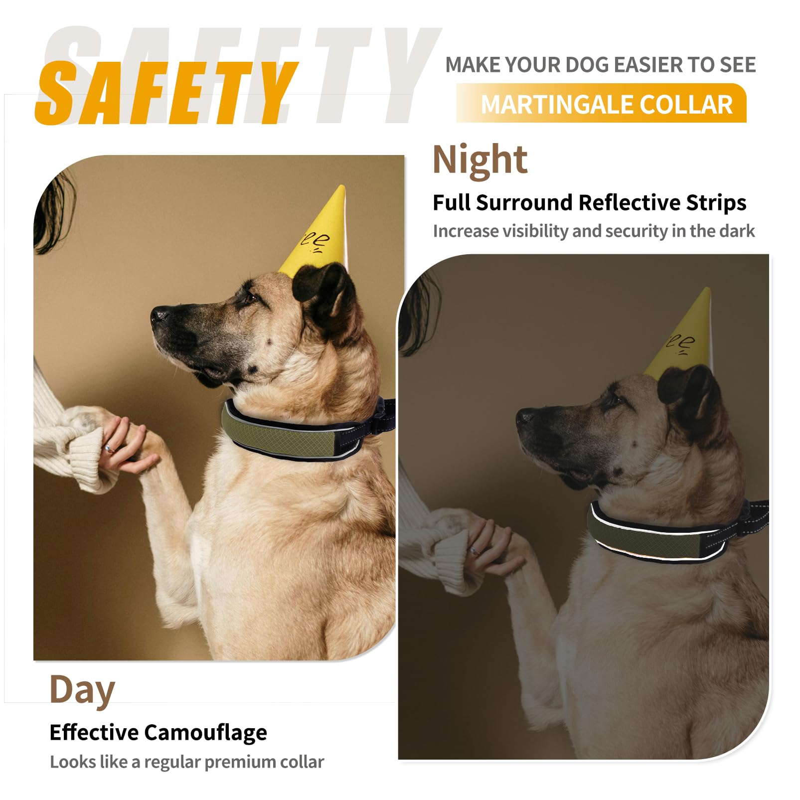 AaufiLux heavy-duty nylon strap provides lasting strength for strong dogs.