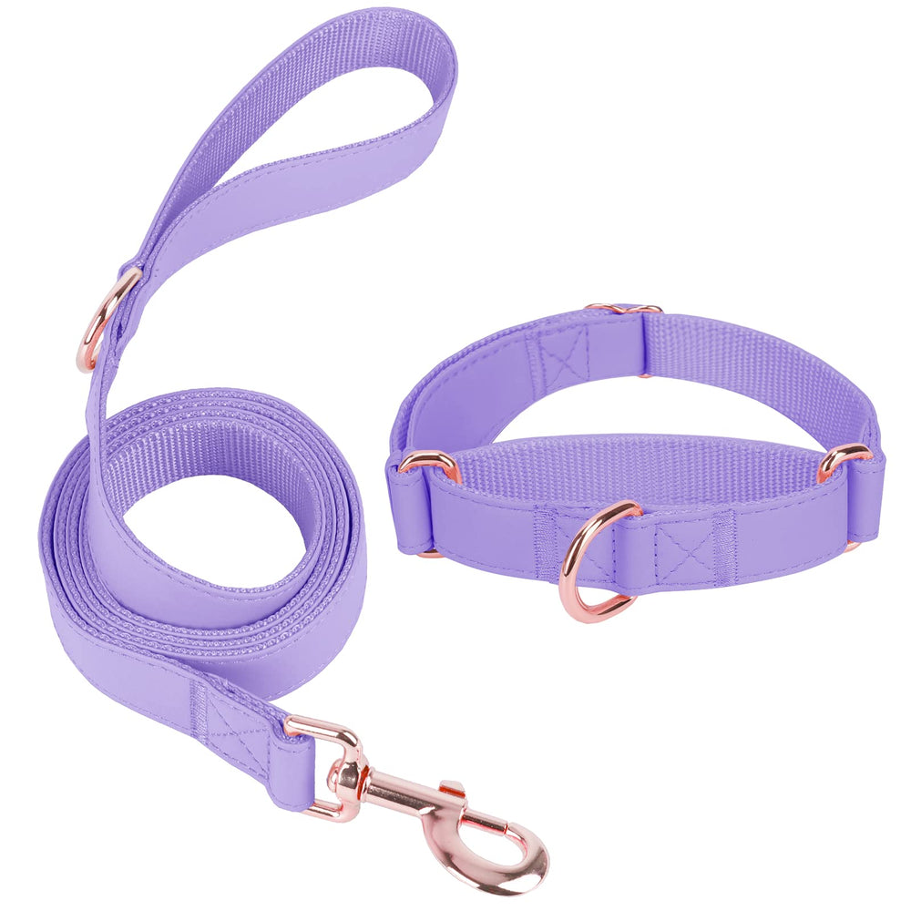 AaufiLux Martingale collar set in purple for stylish daily walks.