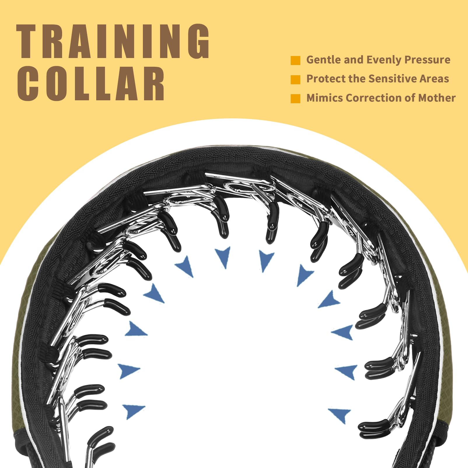 AaufiLux quick-release buckle enables easy on-off during busy walks.