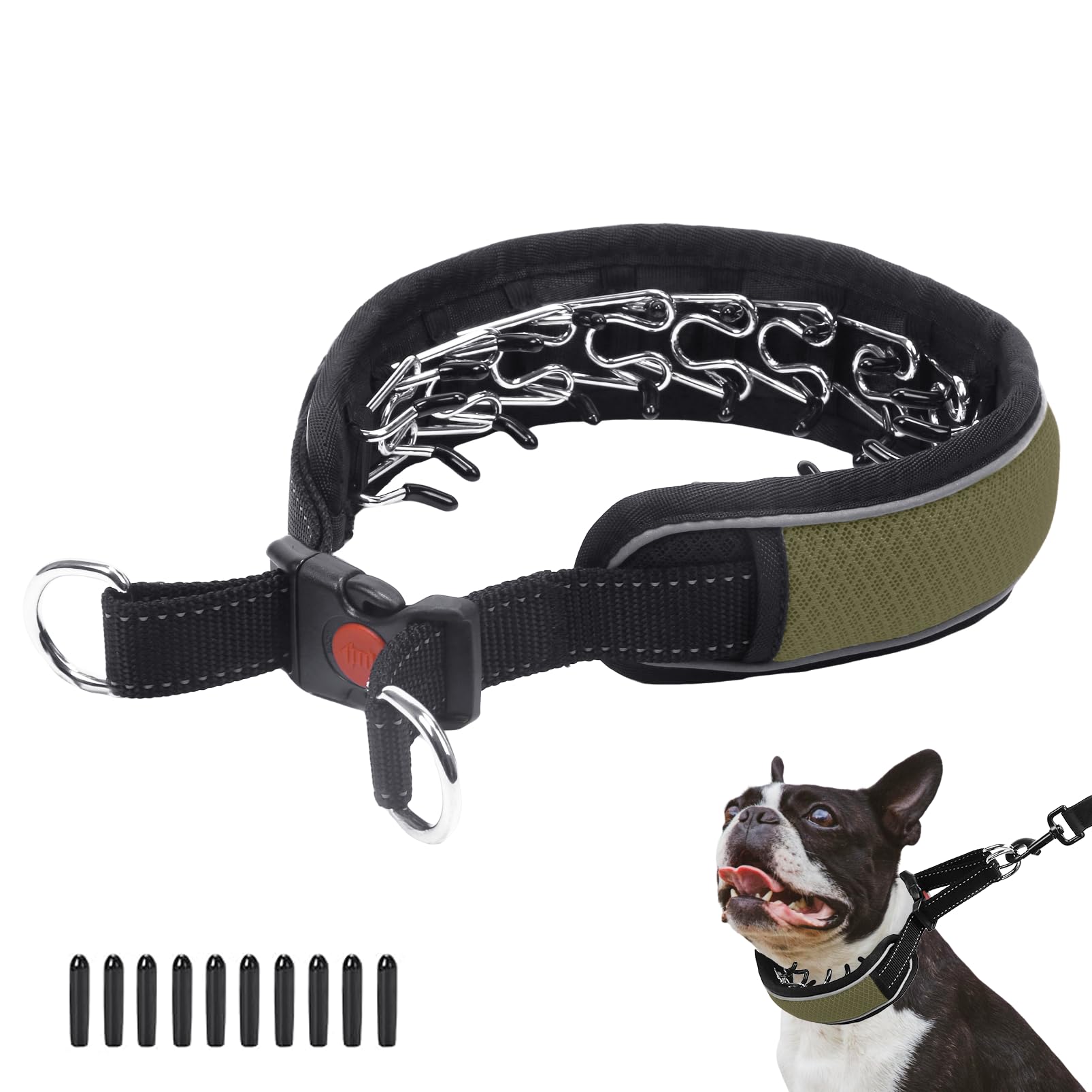 AaufiLux Martingale collar with reflective visibility for safer evening walks.