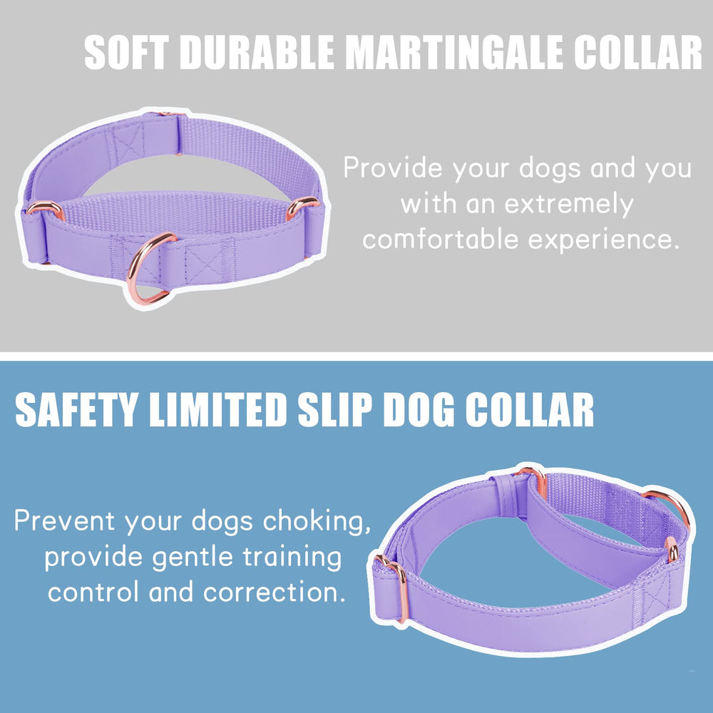 AaufiLux Martingale collar rose-gold D-rings close-up for durable style.