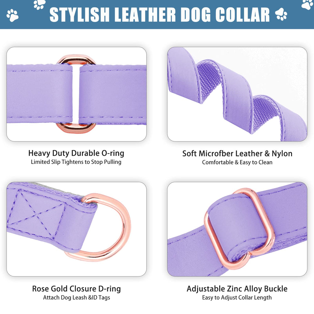 AaufiLux two-loop Martingale collar close-up for safe training control.
