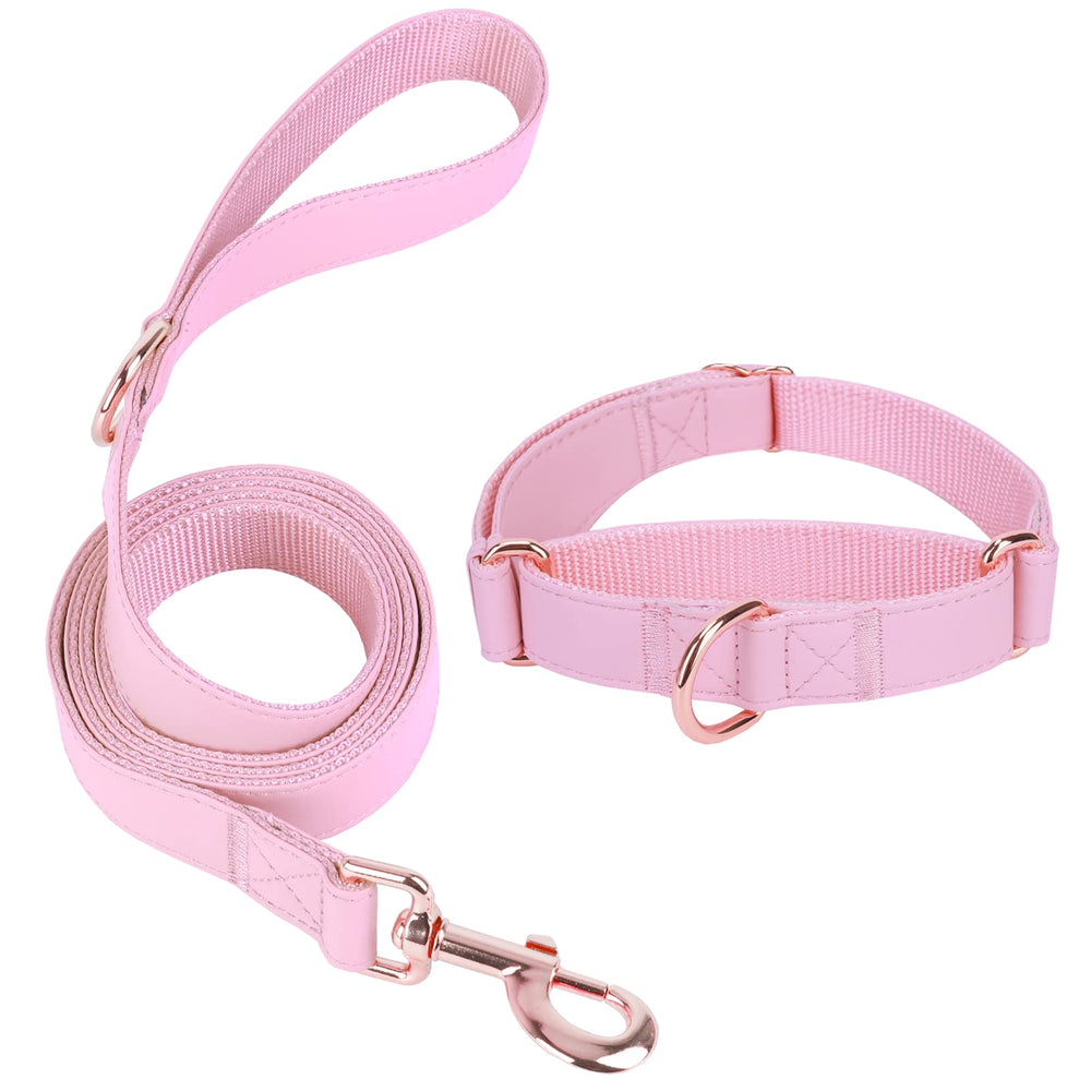 AaufiLux soft-leather martingale collar closeup highlighting comfy fleece-soft feel and durability.