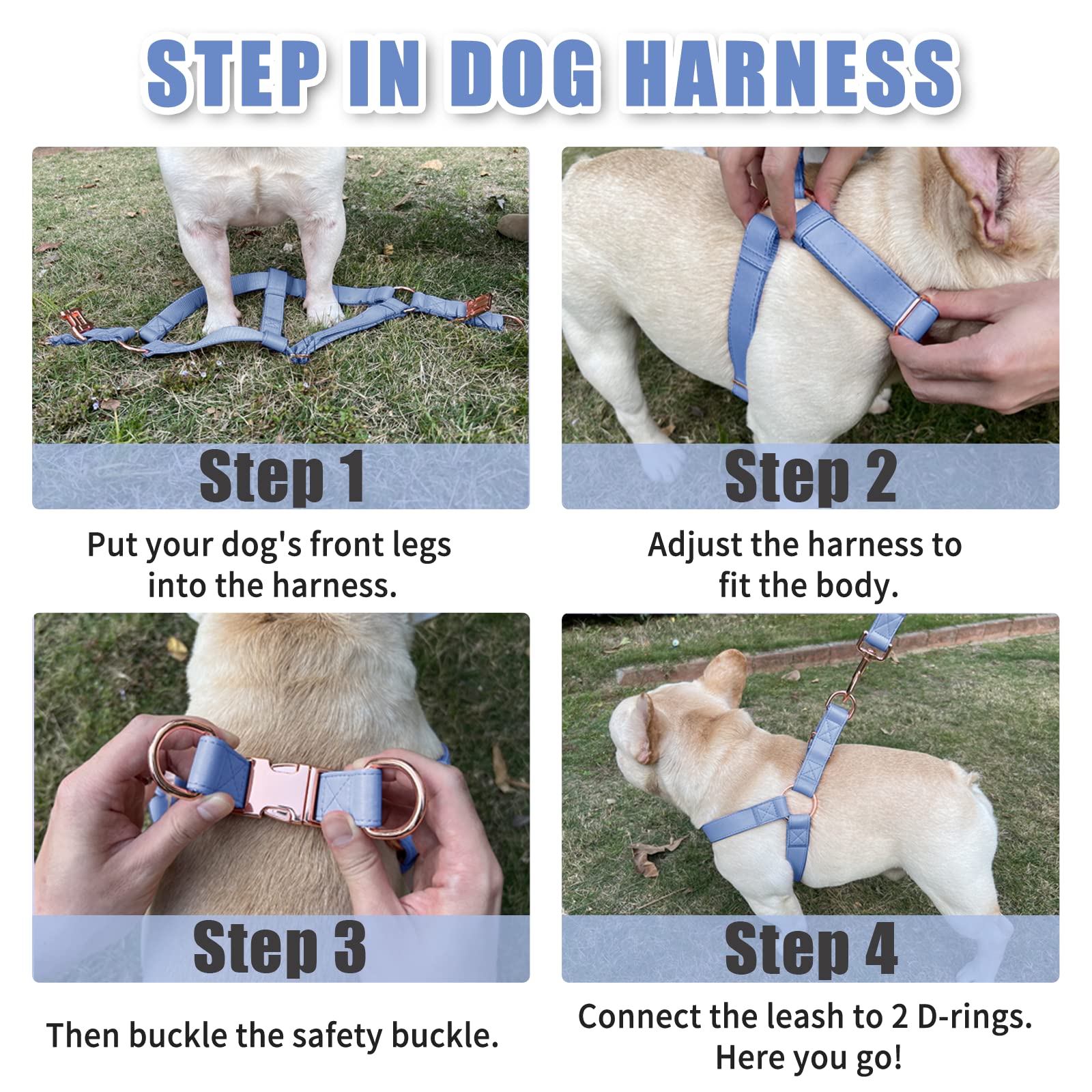 AaufiLux back D-ring clips enable safer leash setup during walks.
