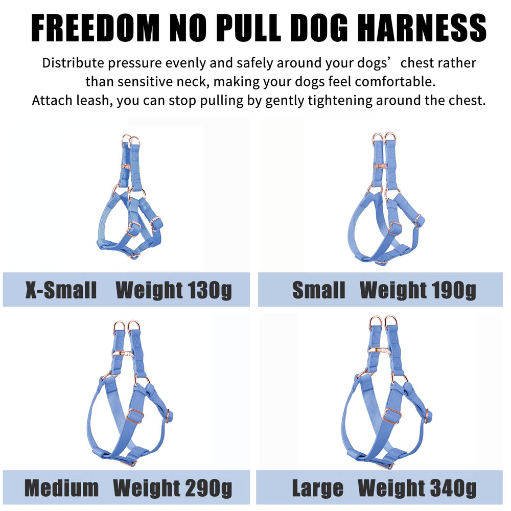 AaufiLux harness suitable for dogs of all sizes during park walks.