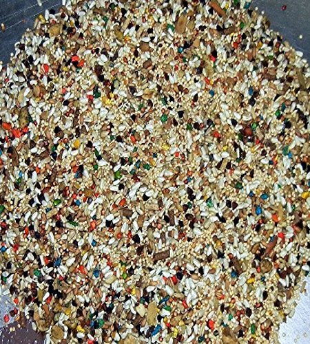 ABBA 1200 no-sunflower mix reduces waste and promotes clean feeding