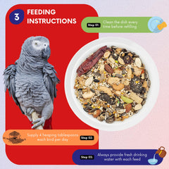 ABBA 1400 ingredients close-up featuring seeds fruits and nuts for variety and digestion