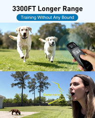 ABBIDOT LED night light helps locate your dog in low light.