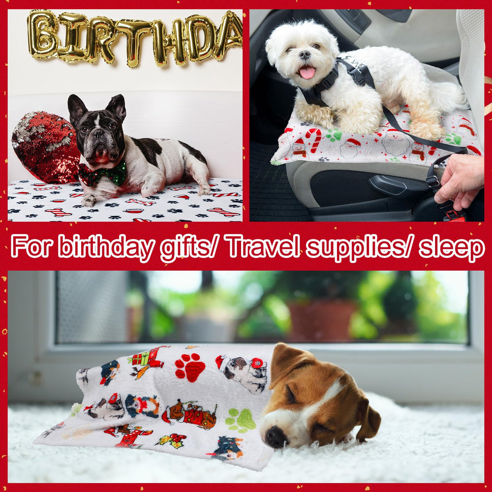 Abbylike gift-ready blanket set as thoughtful pet present