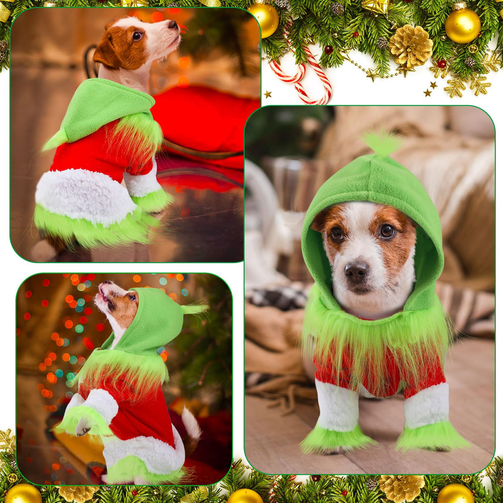 Abbylike festive outfit on pet for photoshoot and celebrations