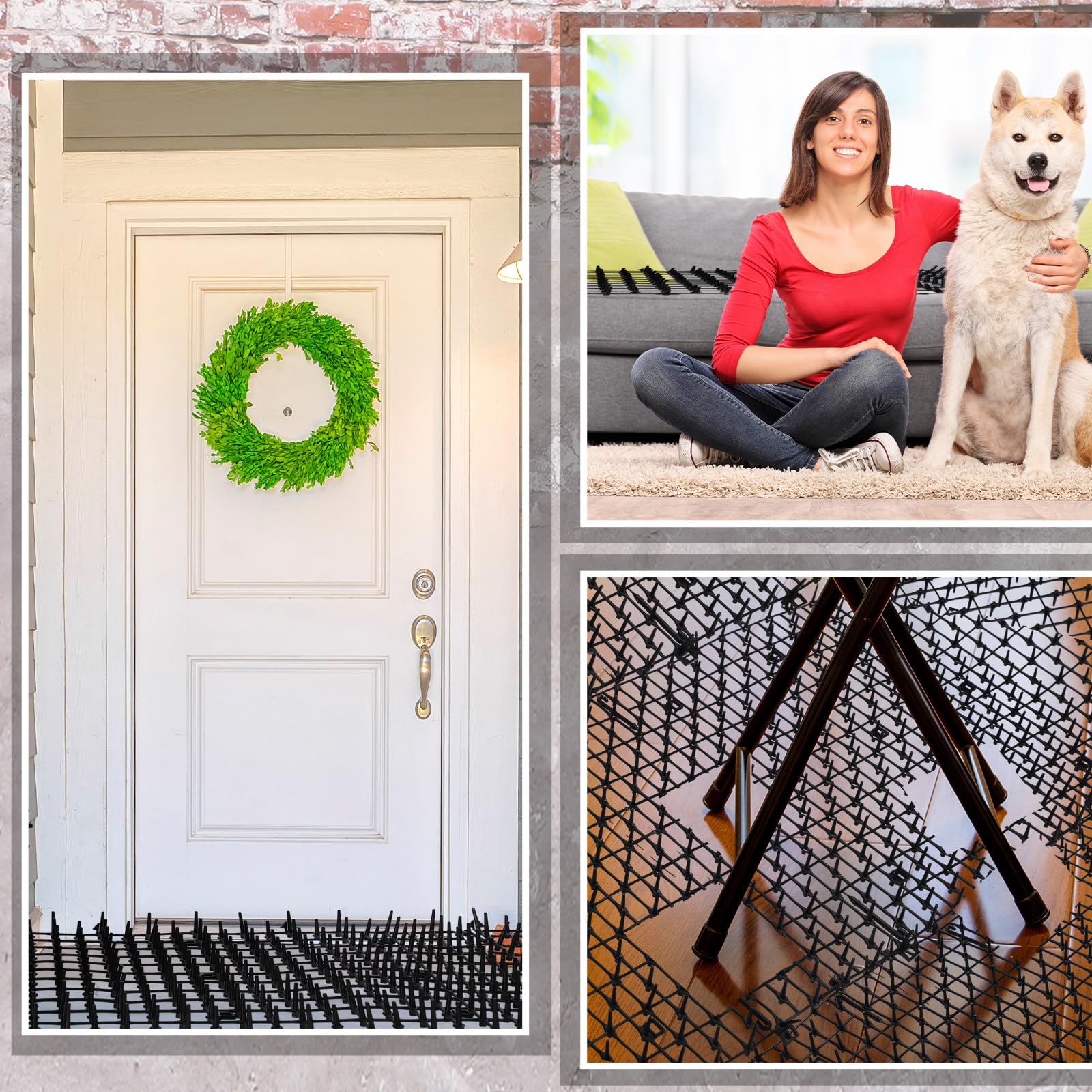 Abbylike garden or furniture deterrent helps protect valued items from cats.