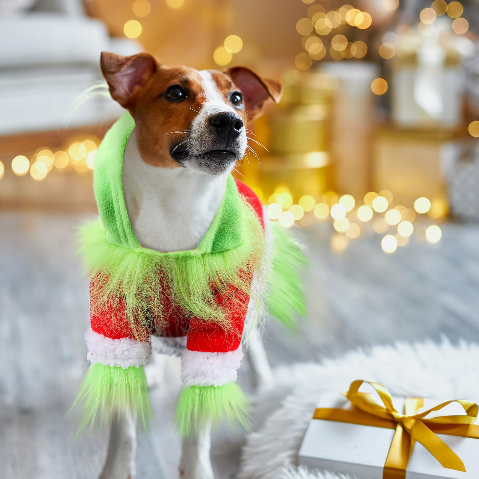 Abbylike pet model wearing green Christmas hoodie showcases holiday style