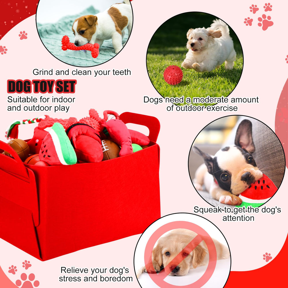 Abbylike cozy red blanket and pad create warm, comfortable puppy rest spots.