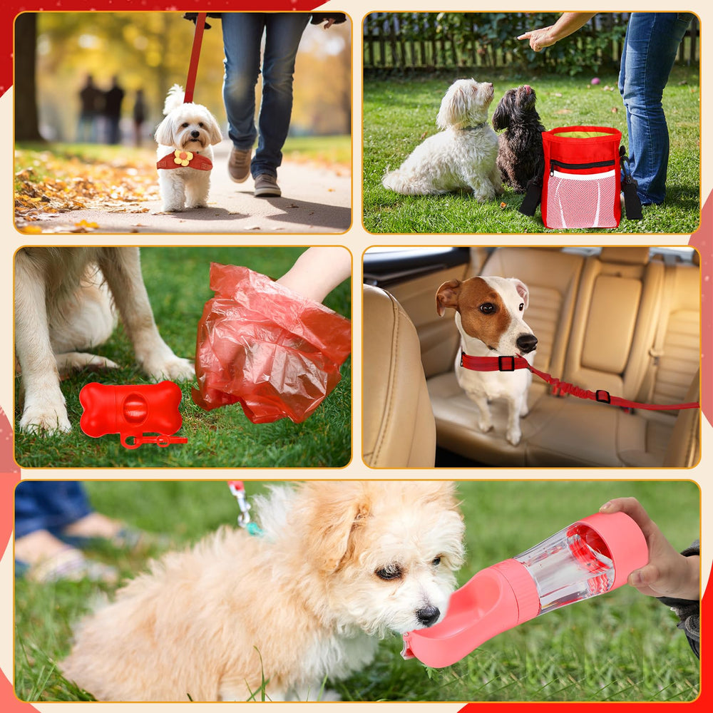 Abbylike grooming tools image shows gentle care for a shy pup.