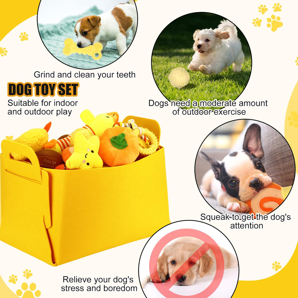 Abbylike puppy starter kit dog leash for safe training sessions