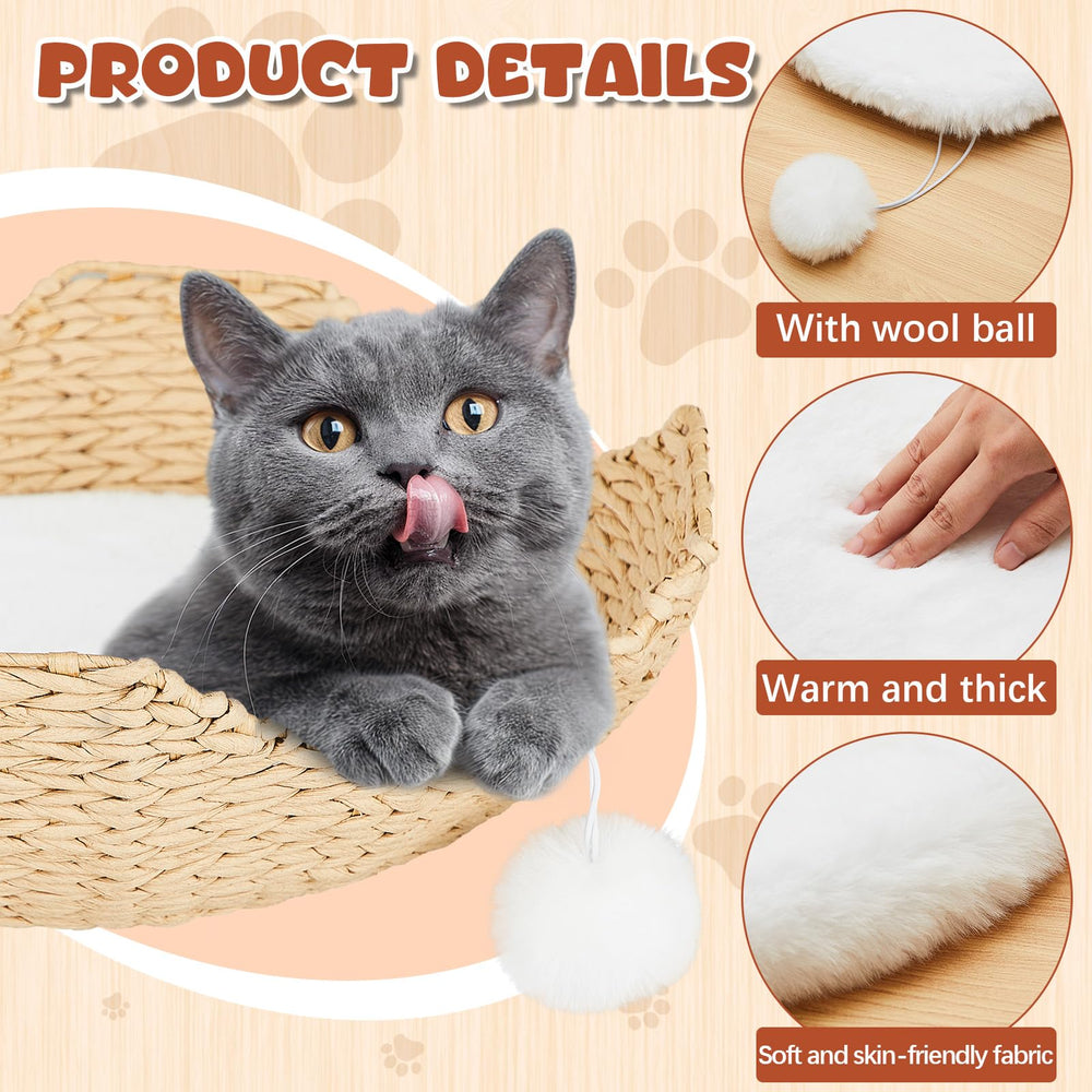 Abbylike round bed with ball attachment highlighting interactive play for cats.
