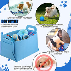 Abbylike stainless steel bowls image highlights durable feeding setup for small dogs