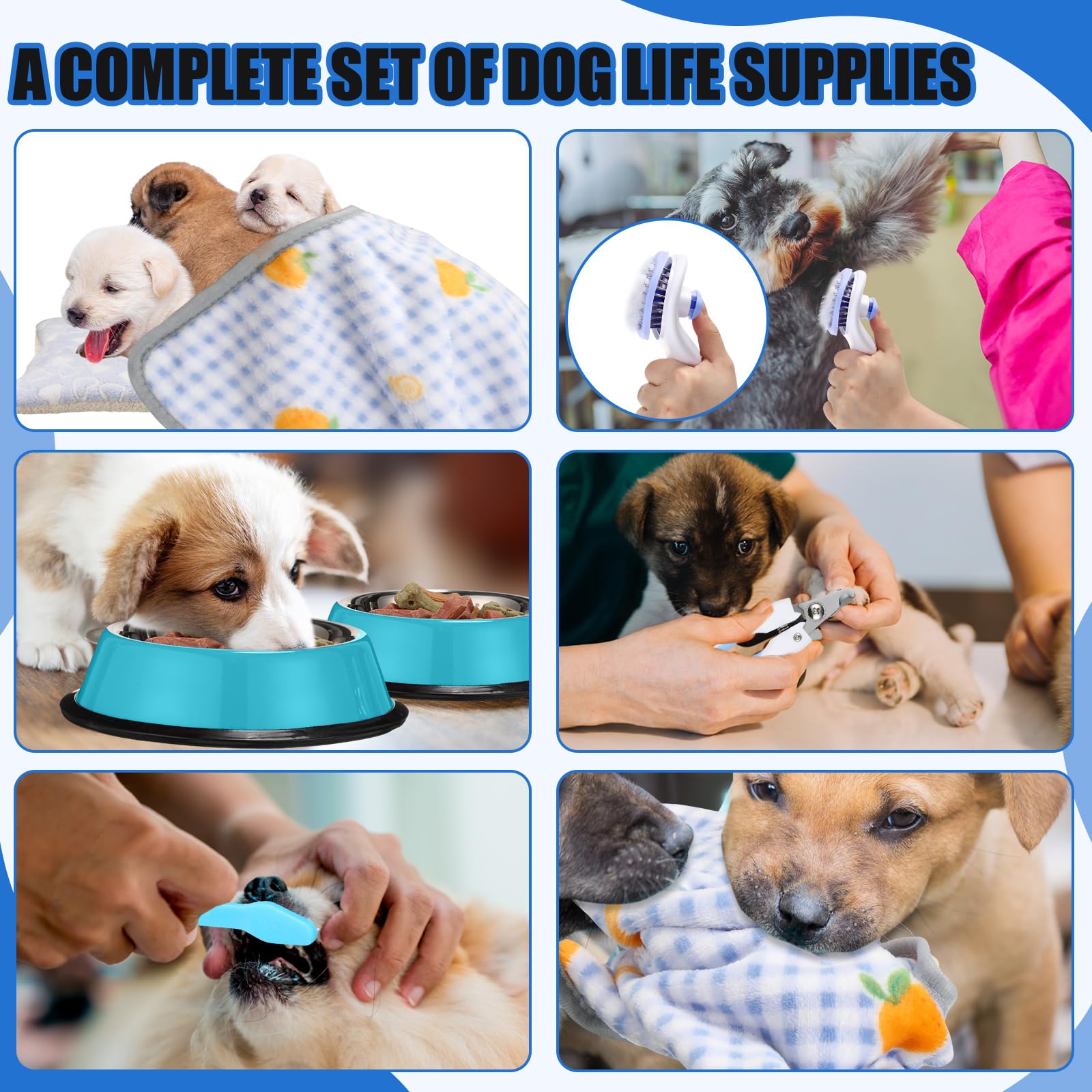 Abbylike travel water dispenser image supports easy outings with pets