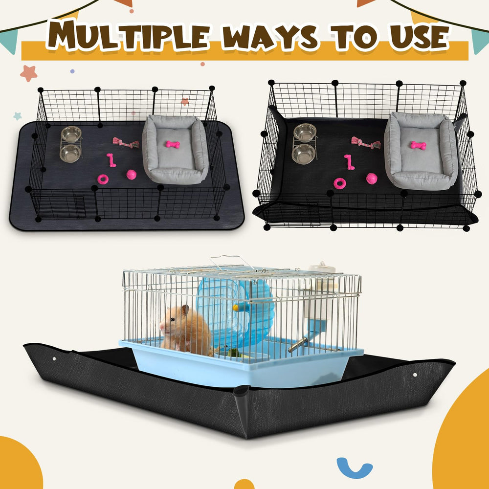 Abbylike two-pet scene emphasizes shared playtime and safe space