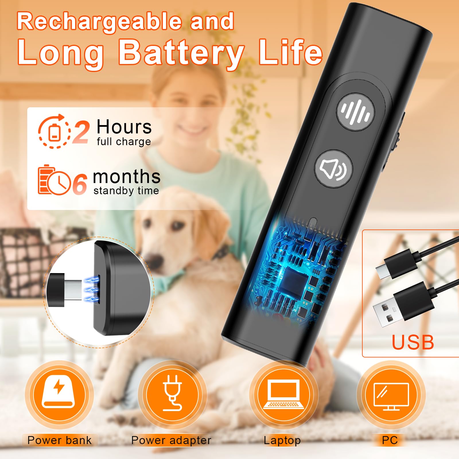 Abdtech training use case with dog during recall and sit practice