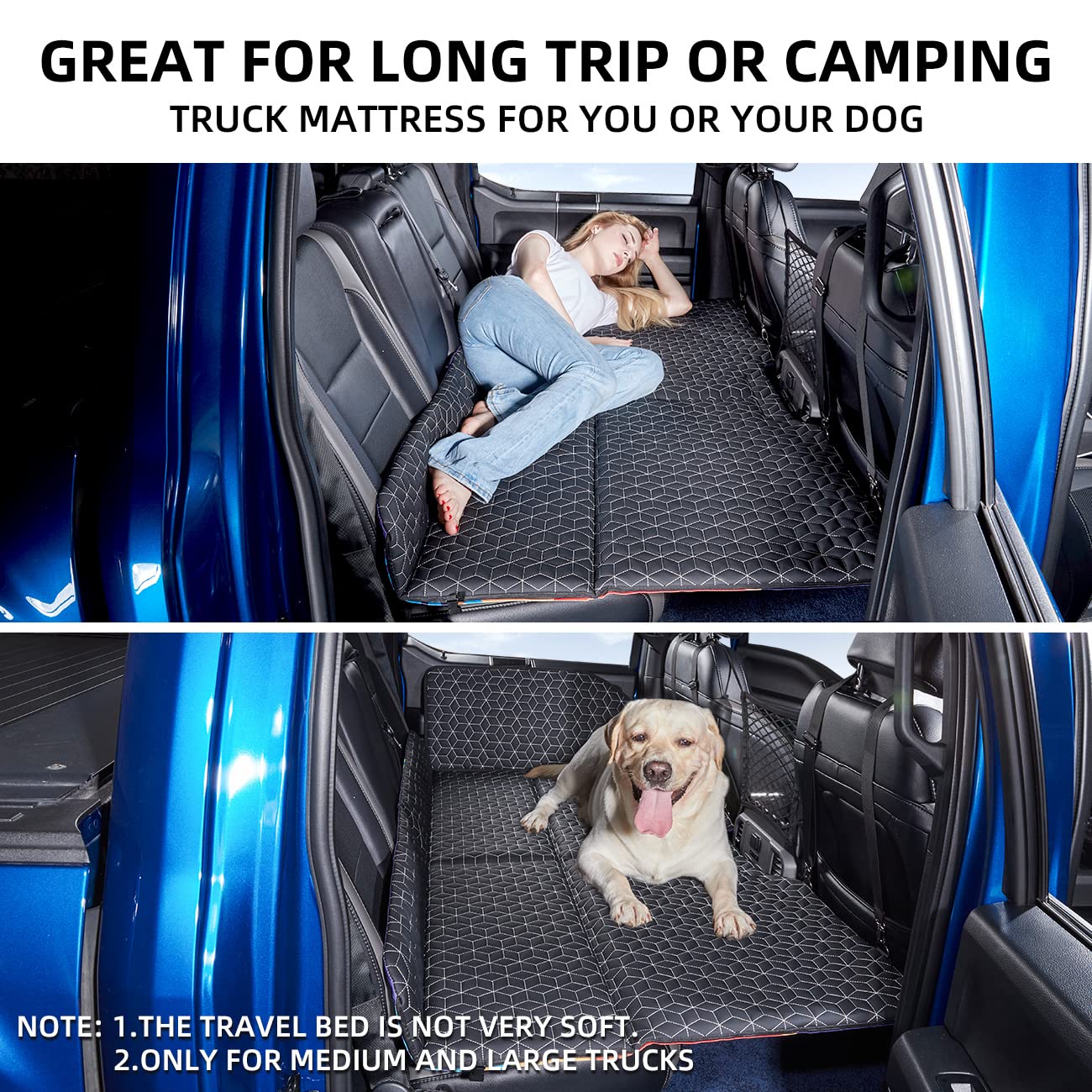 ABE dog hammock in action on the back seat for secure travel