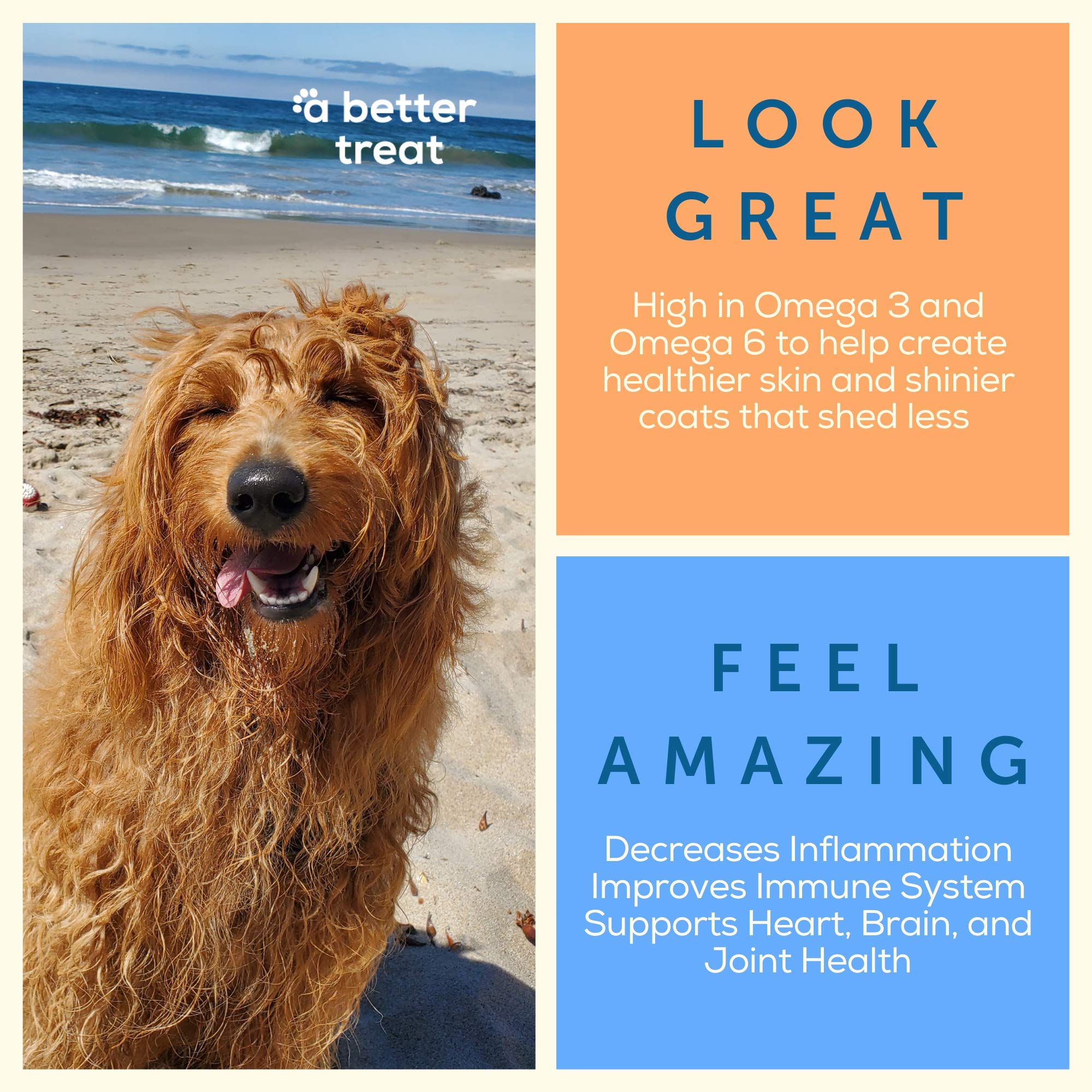 A Better Treat made-in-usa label highlights quality and FDA-regulated manufacturing.