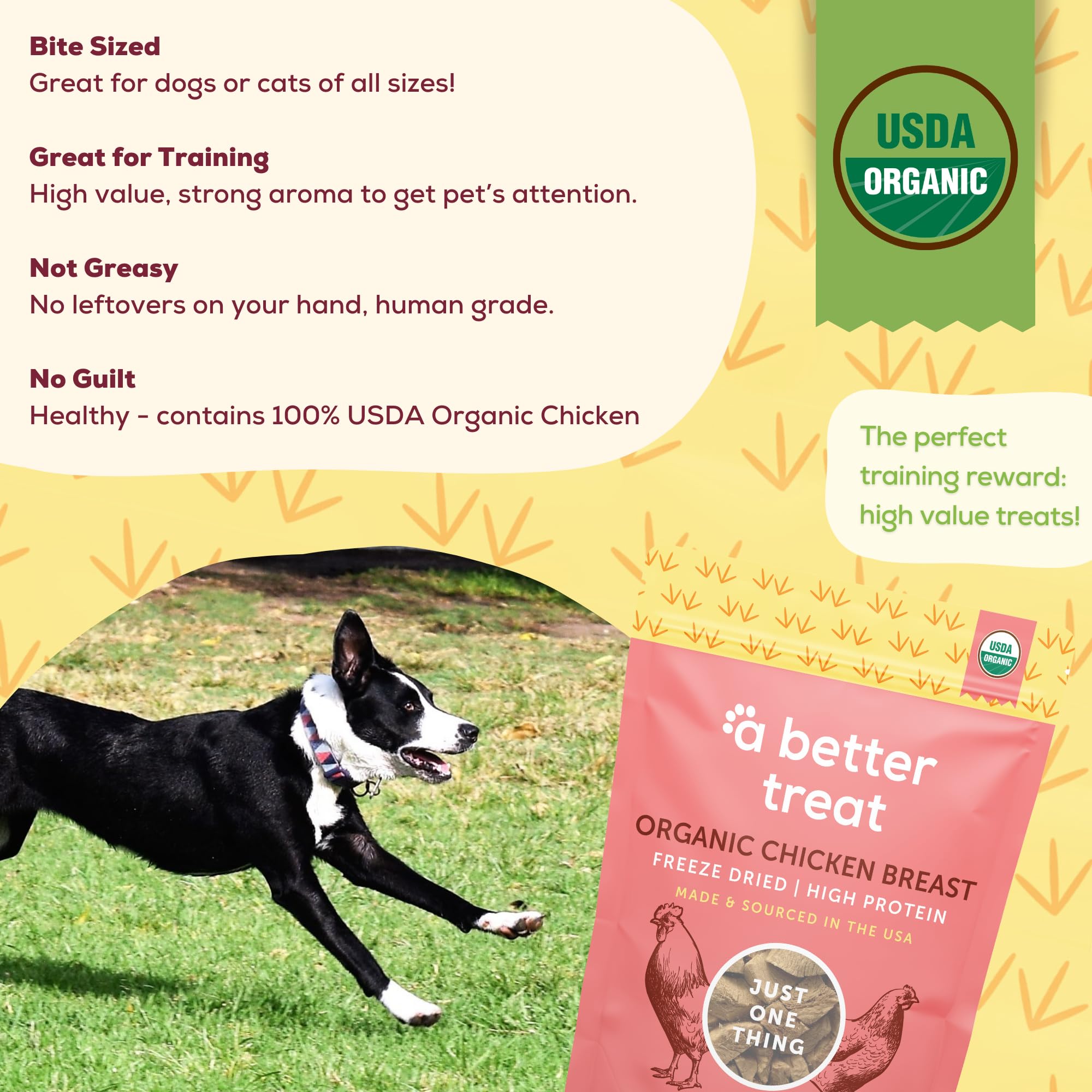 A Better Treat packaging emphasizes organic, USA-made quality for dog treats.