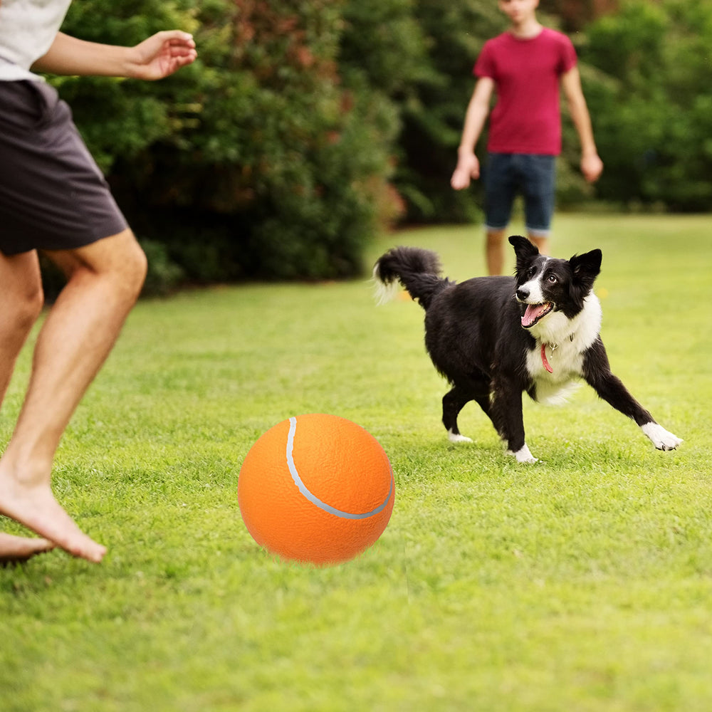 ABFEKIEA-lively-colors-tennis-ball enhances focus and chase during play.