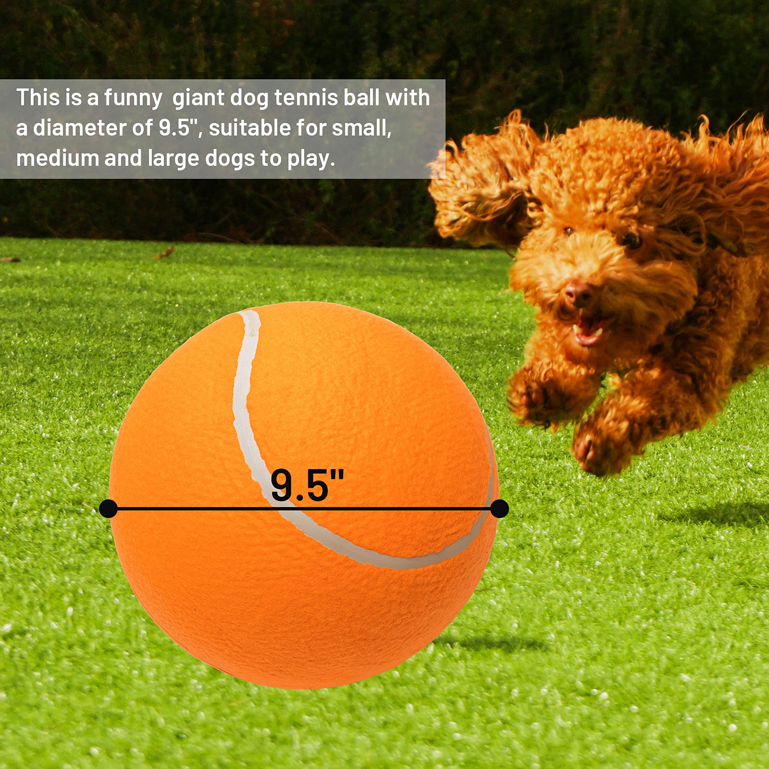 ABFEKIEA two-pack inflatable-dog-toys enables multi-dog play or replacement.