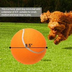 ABFEKIEA two-pack inflatable-dog-toys enables multi-dog play or replacement.