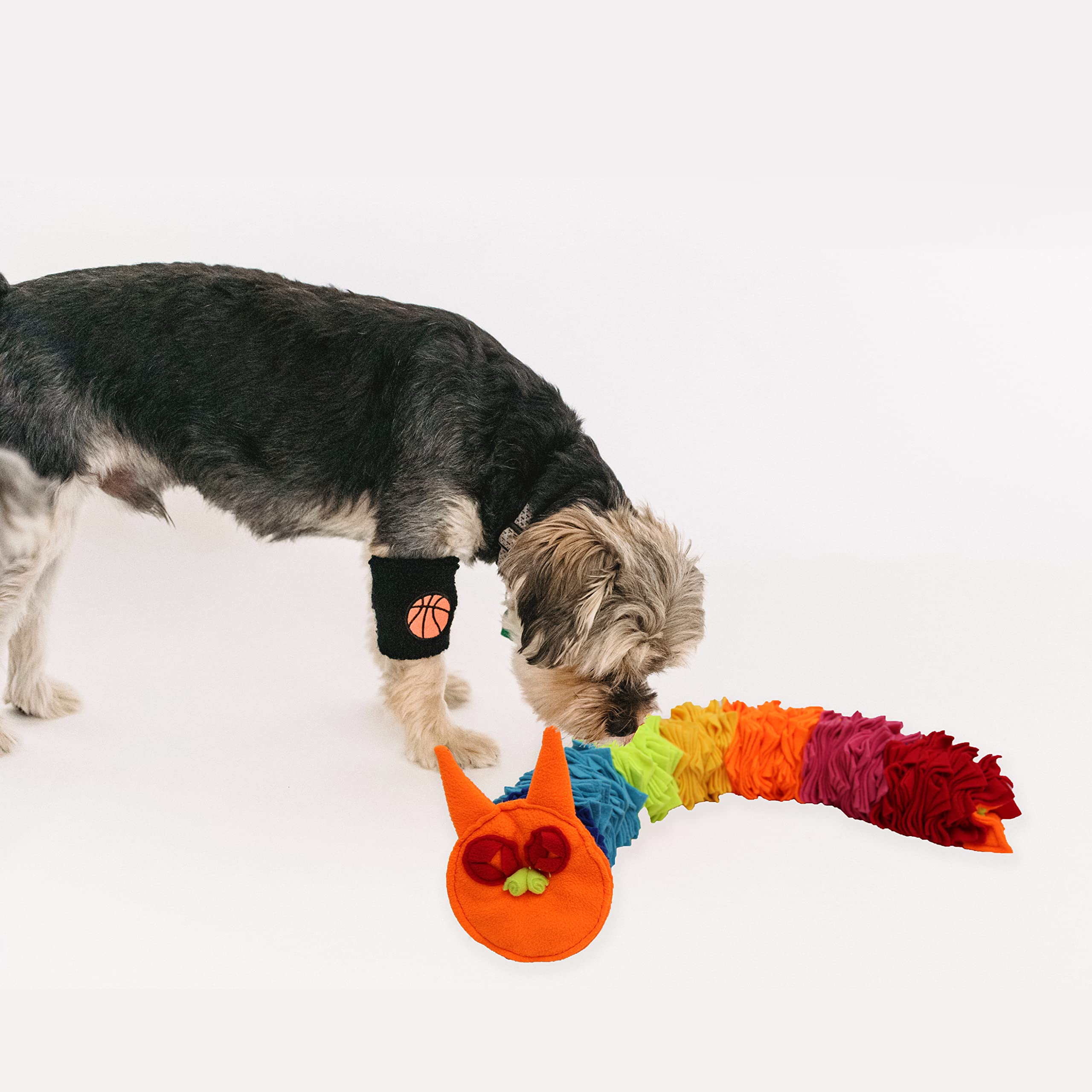 Ablechien for any size dog image shows inclusive design for all breeds