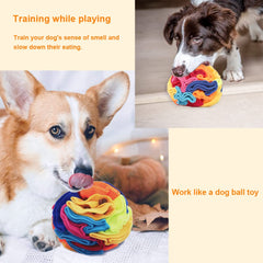 Ablechien Snuffle Ball soft fleece texture during safe play.