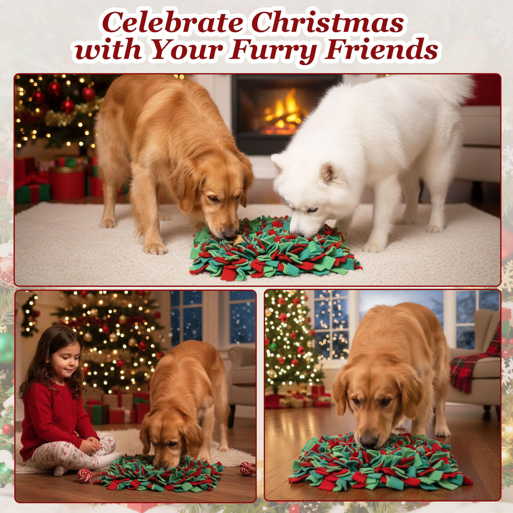 Ablechien Snuffle Mat washable image showing machine-washable cleanliness.