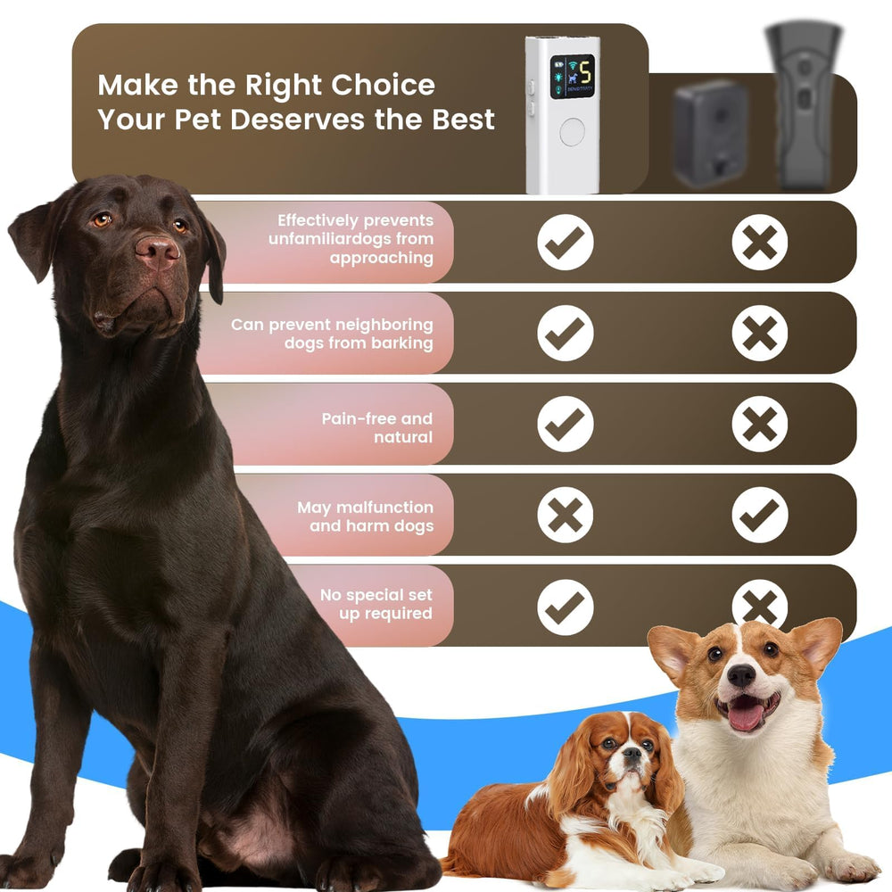 ABRKDOG night walk safety light improves visibility during evening outings.