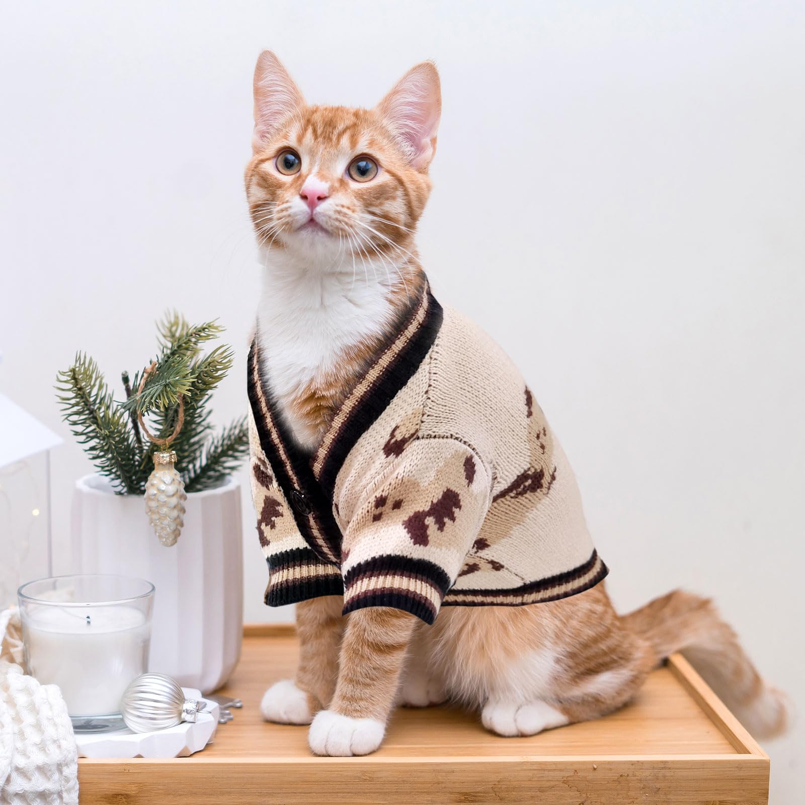 ABRRLO dog cardigan showcases winter coat style with easy closures.