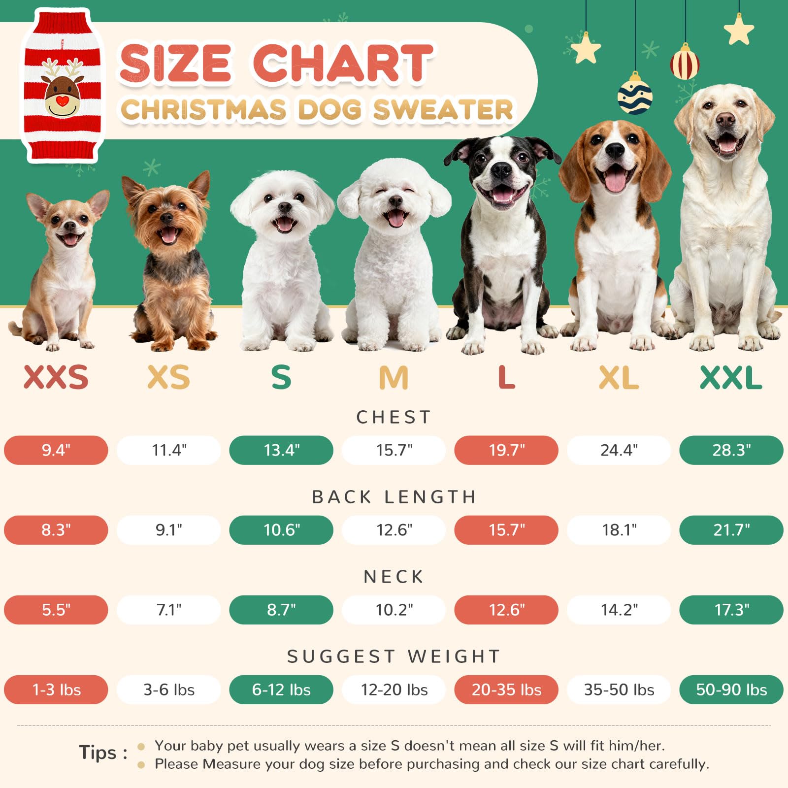 ABRRLO size-friendly fit for chihuahua to labrador-sized pets.
